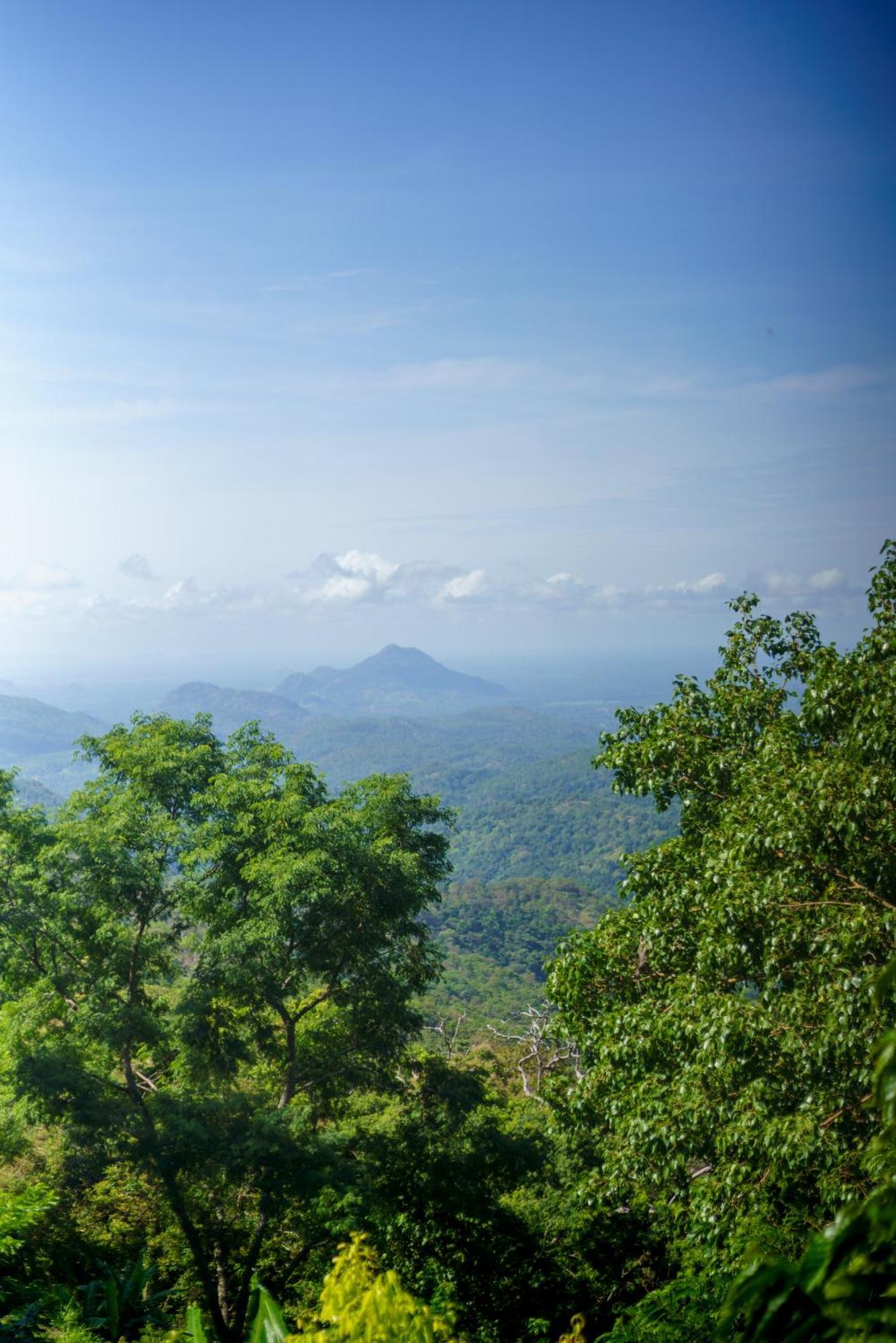 Majentra Ella Hotel Bagian luar foto